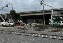 Trabajos de la CFE para el Tren Felipe Ángeles (Foto de cortesía)