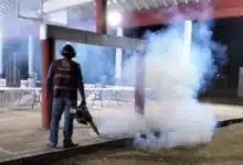 frenan avance del dengue en tabasco; salud estabiliza curva de contagios