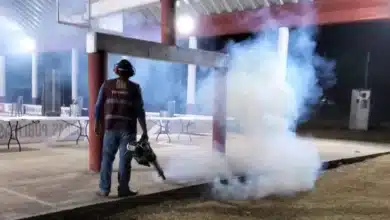 frenan avance del dengue en tabasco; salud estabiliza curva de contagios
