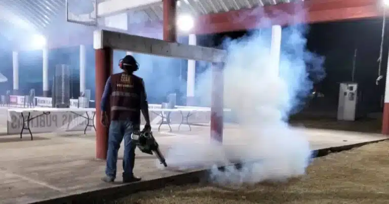 frenan avance del dengue en tabasco; salud estabiliza curva de contagios