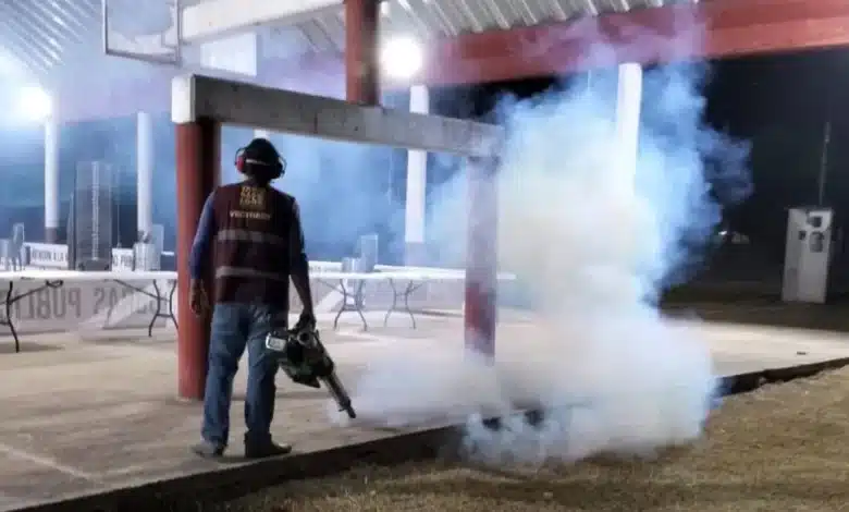 frenan avance del dengue en tabasco; salud estabiliza curva de contagios