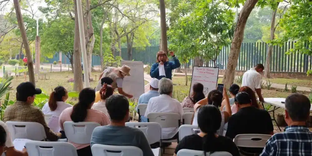 Impulsa Yolanda Osuna la autosuficiencia alimentaria desde el corazón de Centro