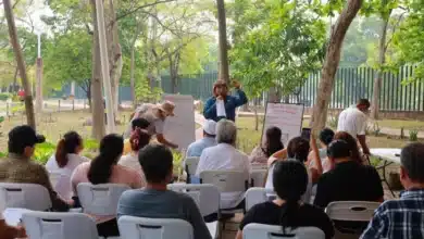 Impulsa Yolanda Osuna la autosuficiencia alimentaria desde el corazón de Centro