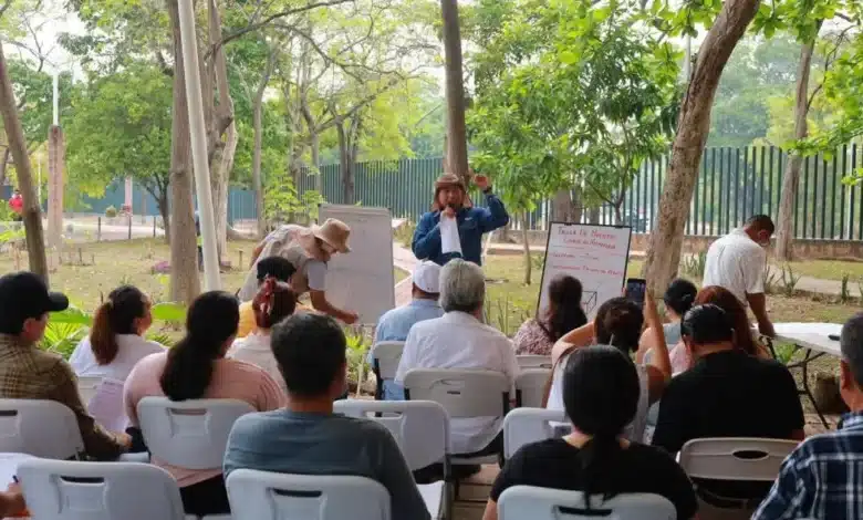 Impulsa Yolanda Osuna la autosuficiencia alimentaria desde el corazón de Centro