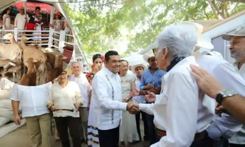 Infraestructura de clase mundial potencia la ganadería en feria tabasco 2026