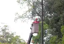 invertirán 7.8 millones de pesos en nuevo alumbrado para el boulevard ruiz cortines