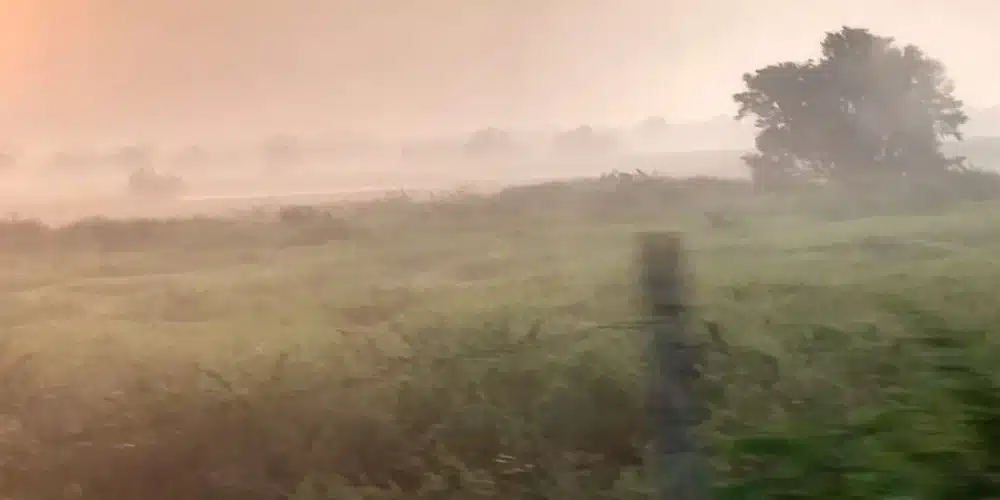 ola de calos afectará a tabasco