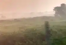 ola de calos afectará a tabasco