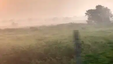 ola de calos afectará a tabasco
