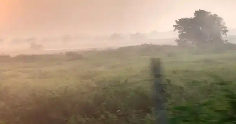 ola de calos afectará a tabasco