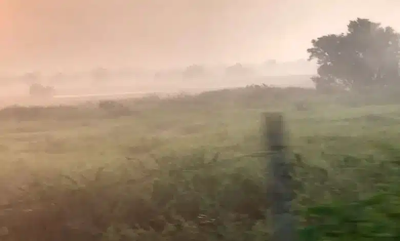 ola de calos afectará a tabasco