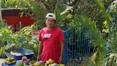 Sembrar el sustento, cosechar Solidaridad