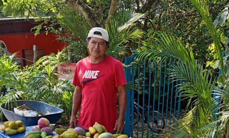 Sembrar el sustento, cosechar Solidaridad 
