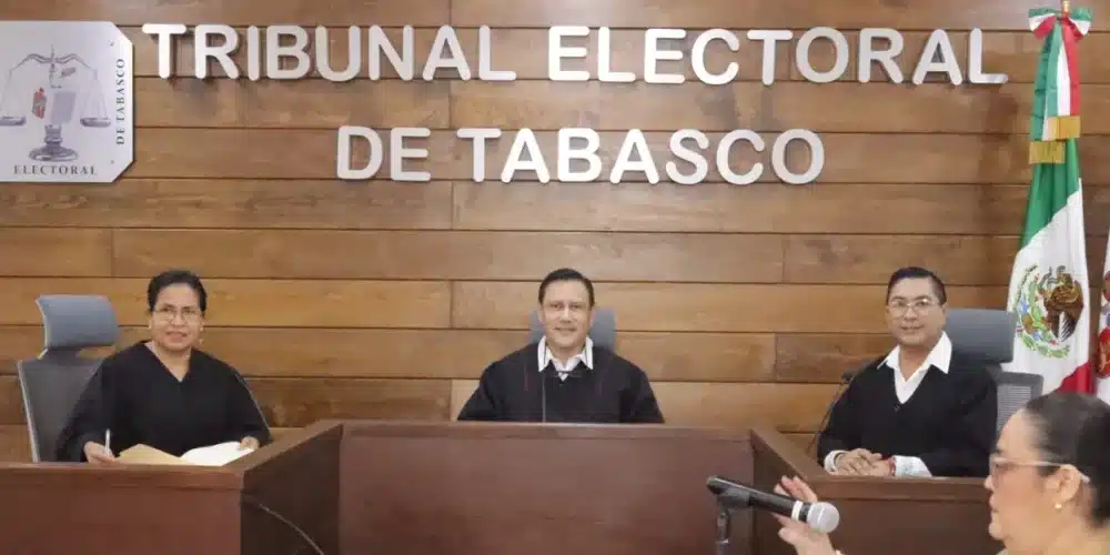 servidores públicos pueden ser representantes partidistas