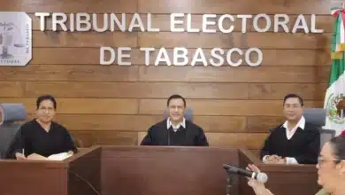servidores públicos pueden ser representantes partidistas