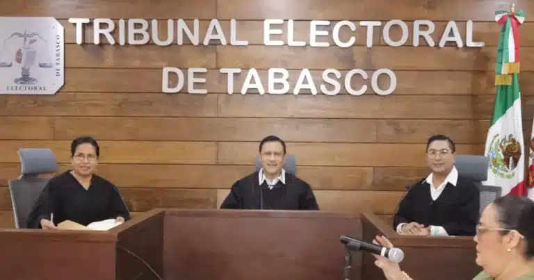 servidores públicos pueden ser representantes partidistas