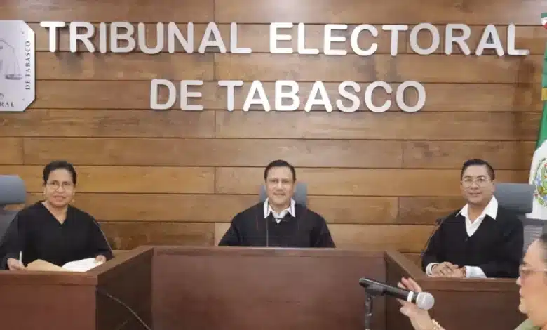 servidores públicos pueden ser representantes partidistas