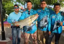 Todo listo para el Torneo de Pesca Deportiva del Robalo Tepetitán