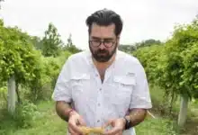 trasciende que renuncia casasús a sotop