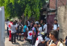 cuautla morelos abejas atacan a 100 personas en telesecundaria