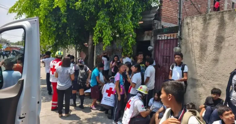 cuautla morelos abejas atacan a 100 personas en telesecundaria