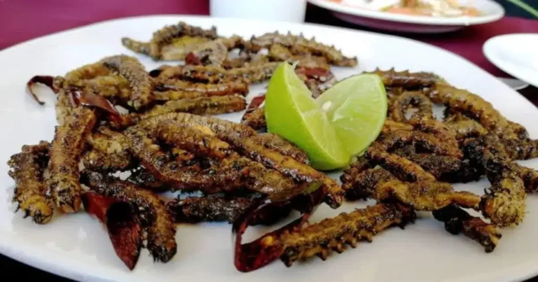 cuchamá el gusano comestible de puebla que preserva la tradición del semidesierto mexicano