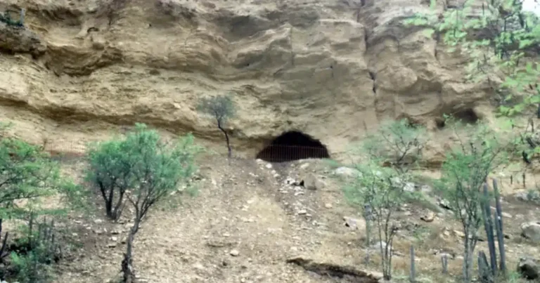 cueva del maíz el sitio arqueológico donde nació la historia del maíz en méxico