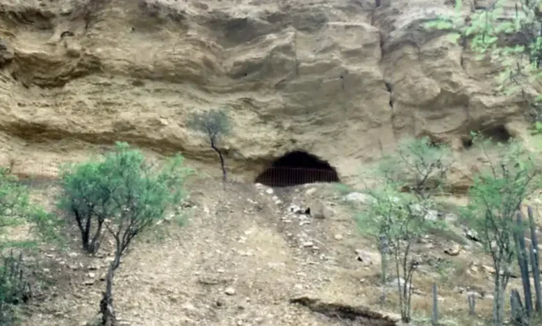 cueva del maíz el sitio arqueológico donde nació la historia del maíz en méxico
