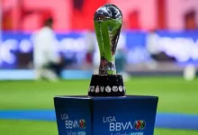 Liga MX retoma actividad, ahora con los partidos de vuelta (Foto de internet)