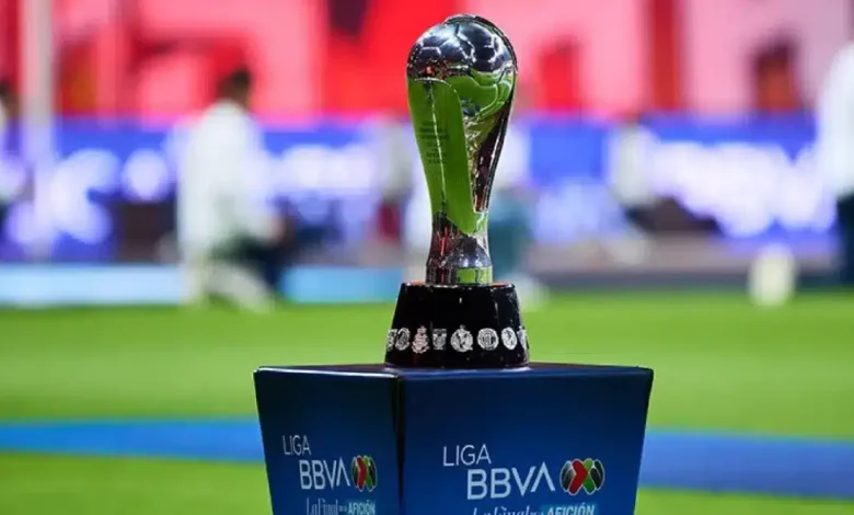 Liga MX retoma actividad, ahora con los partidos de vuelta (Foto de internet)