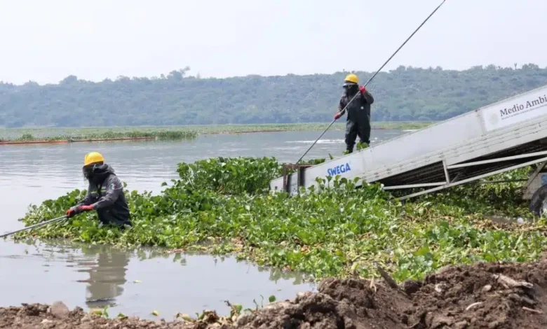 Saneamiento de la presa Endhó (Foto de Efrain Espinoza)