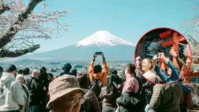 japon