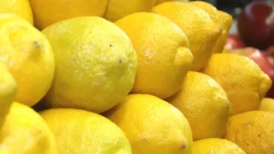 la lima, el cítrico aromático que sigue dando sabor a la cocina mexicana