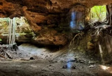 los cuarteles, la impresionante gruta de tamaulipas habitada por miles de murciélagos