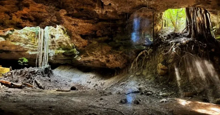 los cuarteles, la impresionante gruta de tamaulipas habitada por miles de murciélagos