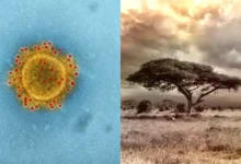 méxico aplica restricciones migratorias por brote de ébola en África central