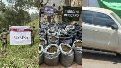 operativos del gabinete de seguridad dejan detenidos, armas y droga asegurada en siete estados