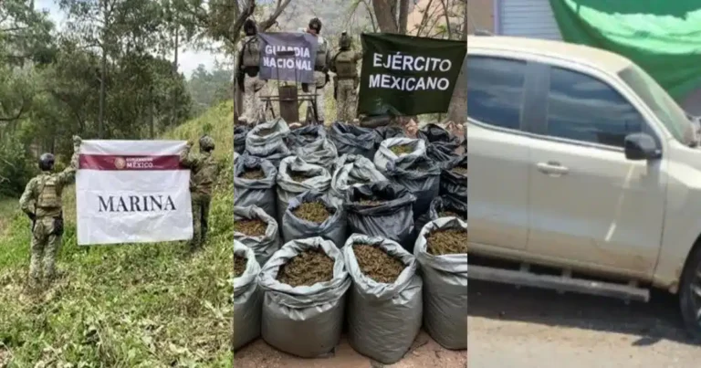 operativos del gabinete de seguridad dejan detenidos, armas y droga asegurada en siete estados