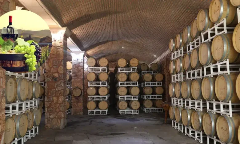 Vinos mexicanos que debes conocer Más allá del Valle de Guadalupe (Fotos Food and Travel Mexico, Forbes)