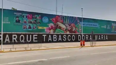¡la feria tabasco sigue!