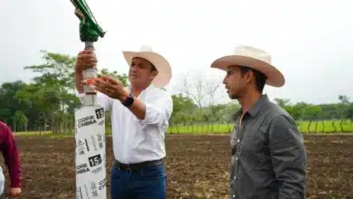 aumentan producción agrícola con riego por aspersión