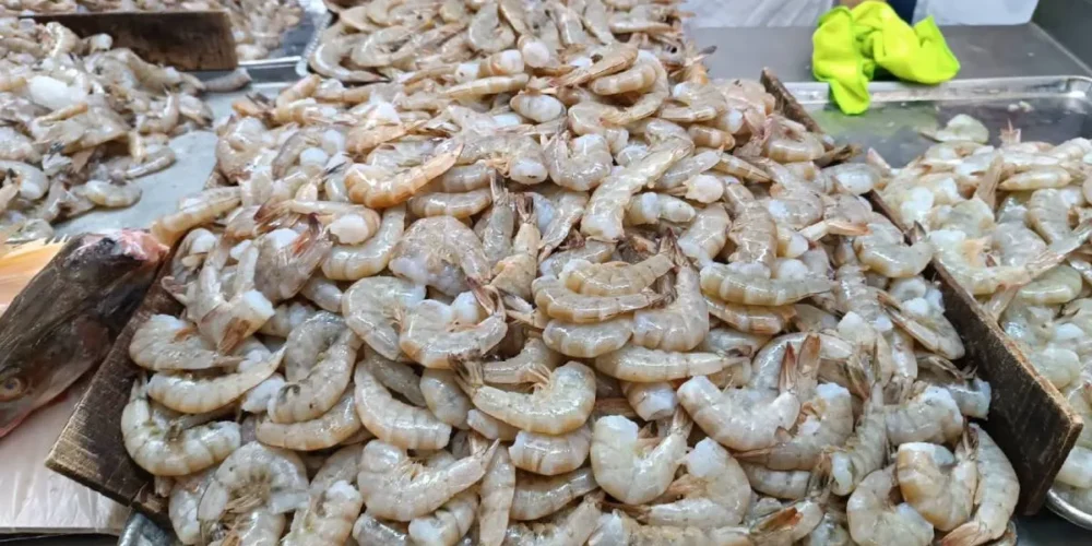 Baja el precio del camarón