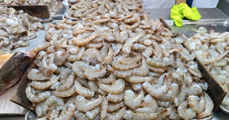 Baja el precio del camarón