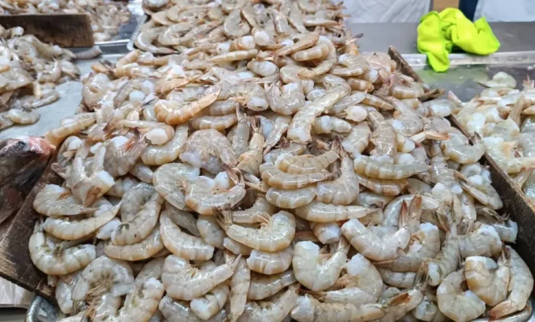 Baja el precio del camarón