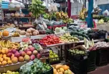 bajan precios en la central de abasto