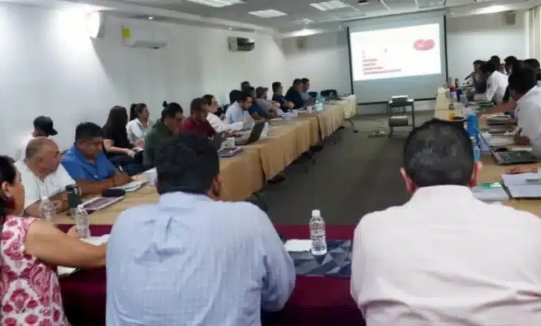 Buscan establecer en 100 pesos el precio del cacao