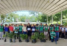 con el programa plantando vida, reforestan la secundaria abelardo de la torre en chiapa de corzo