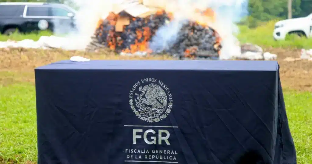 destruyen cerca de una tonelada de drogas asegurada en tabasco (1)