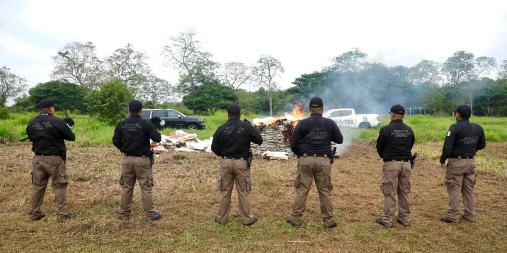 Destruyen cerca de una tonelada de drogas asegurada en Tabasco