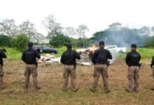 Destruyen cerca de una tonelada de drogas asegurada en Tabasco